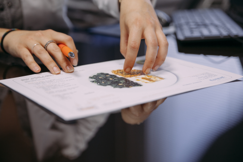 Presupuestos a medida